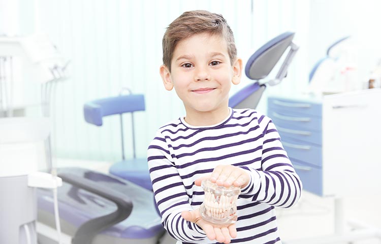 dr wiens kollegen zahnarzt eppelheim behandlungsspektrum leistung kinderzahnmedizin